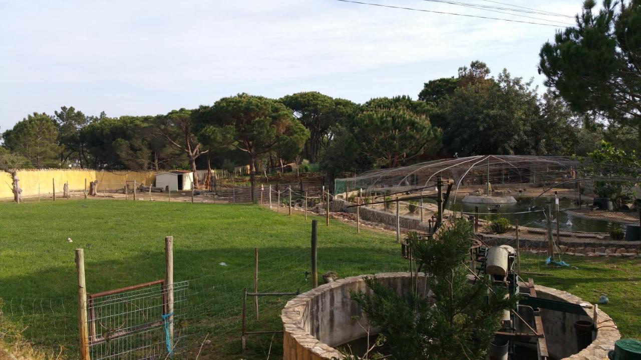 Quinta Vita - Vila Pera Almancil Zewnętrze zdjęcie
