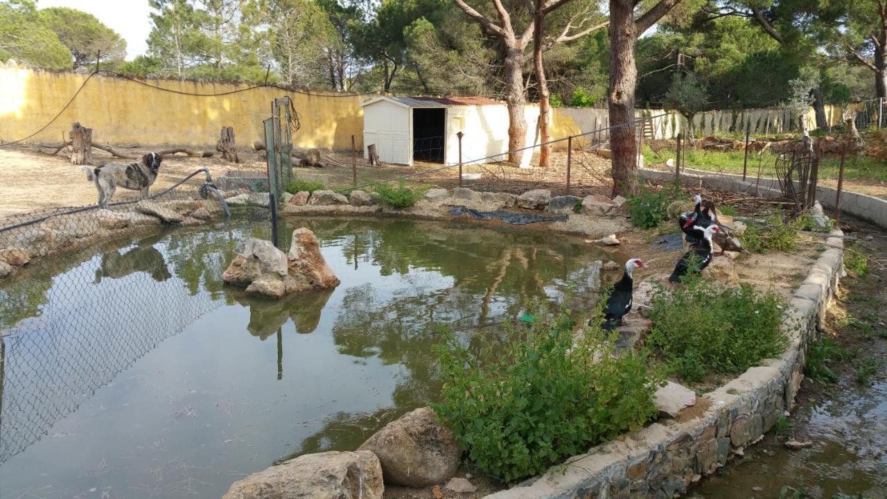 Quinta Vita - Vila Pera Almancil Zewnętrze zdjęcie