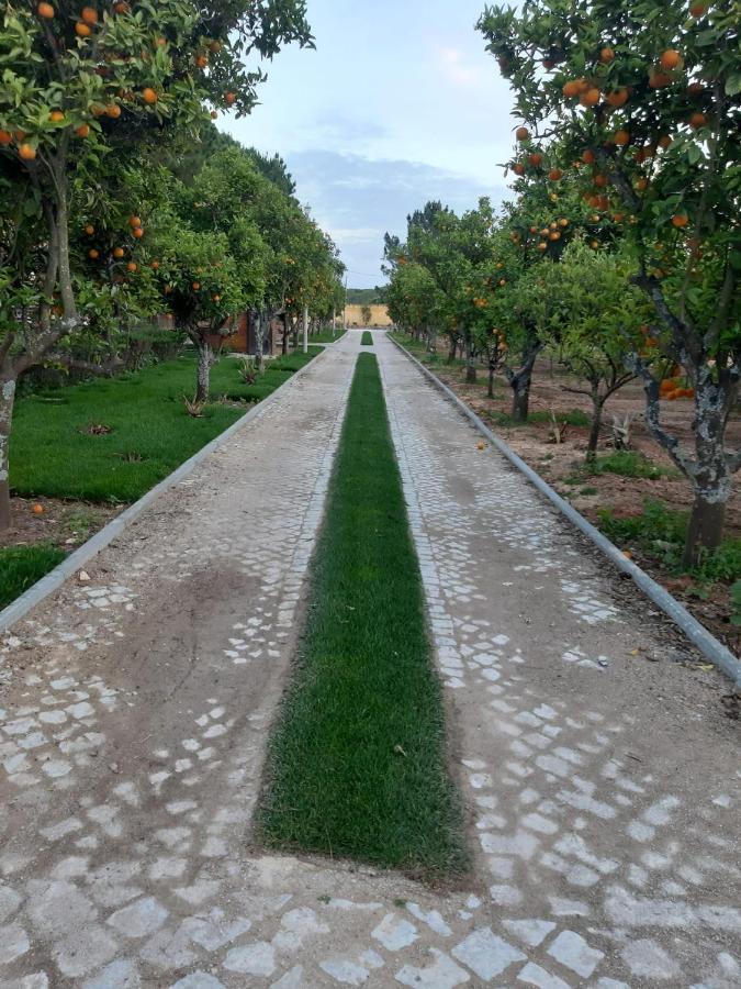 Quinta Vita - Vila Pera Almancil Zewnętrze zdjęcie